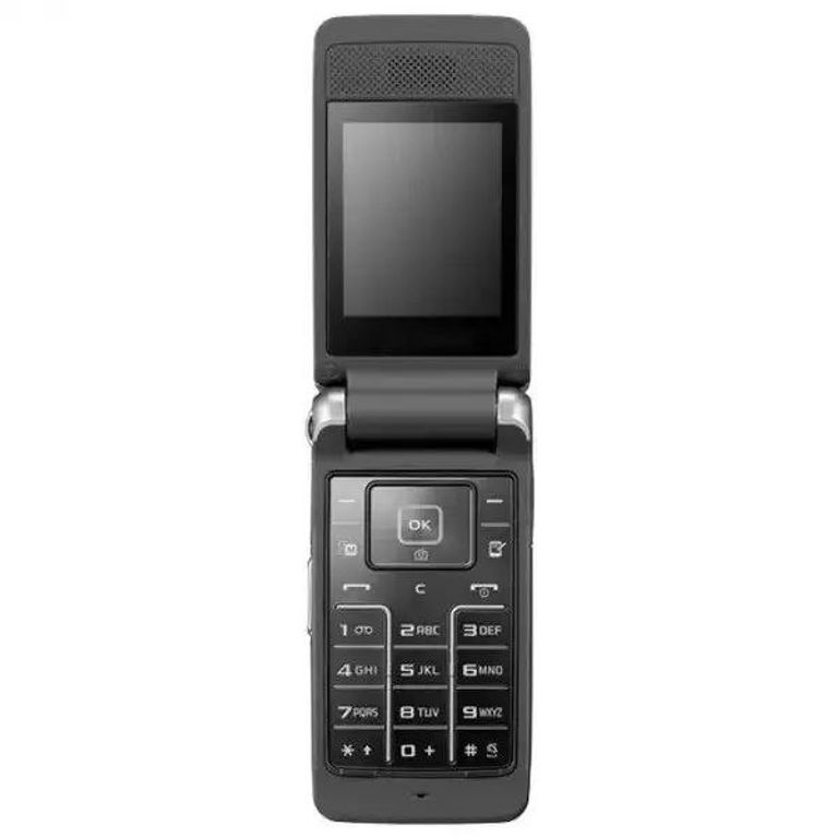 Купить Samsung S3600i Б/У
