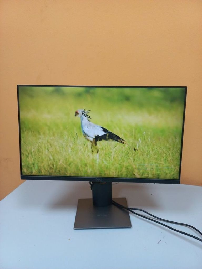 Dell p2419h Код:01-200901581. Зображення 8