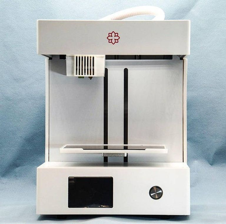 Купить Begonova Rose Go Б/У