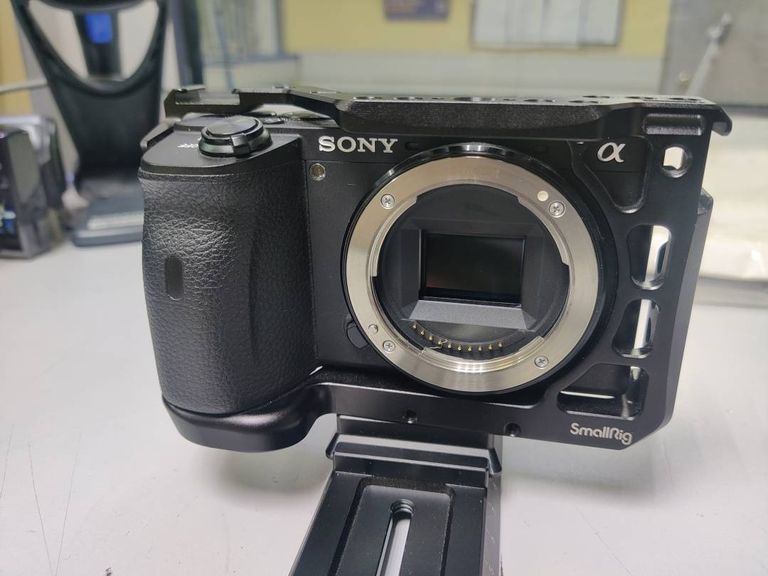 Sony Alpha A6600 kit (18-135mm)