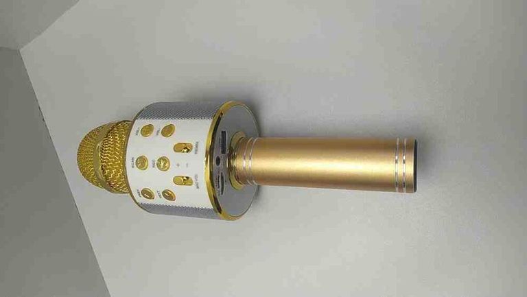 Оголошення Wster WS-858 Gold Б/У