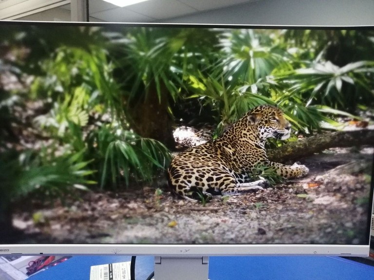 Объявление Eizo EV2460-BK Б/У