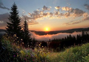 Павлюк Сергій Юрійович