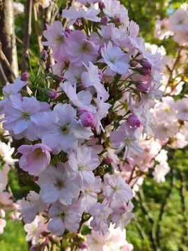 Андрей Бондар Александрович