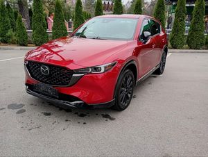 Paul Kline (paul_news)