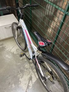 01-200597550: Formula electra 26" 2024