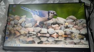 Б/у Монитор Msi optix g2412f 01-200924751