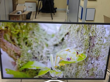 Б/в Телевізор Samsung ue43mu5503 01-200966333