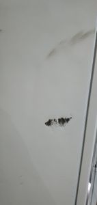 Б/в Холодильник з морозильною камерою Grifon dfn-180w 01-200880152