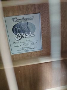 Б/в Акустична гітара Tanglewood ts5 01-200875597
