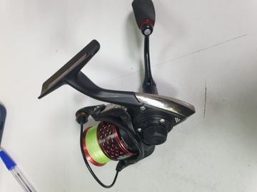 Favorite hurricane 1000s