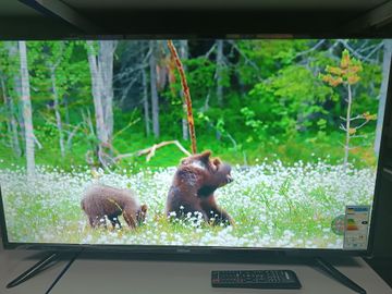 01-200794827: Hilton 42sf1