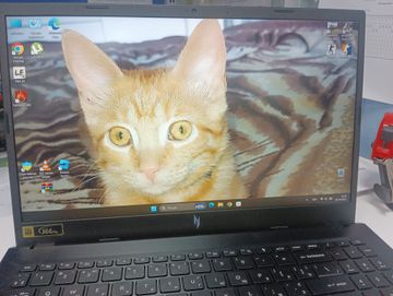 01-200749120: Acer 15/ryzen 5 7535hs ddr5/16gb ddr3/hdd *відсутній/ssd 512 gb/geforce rtx2050 4gb