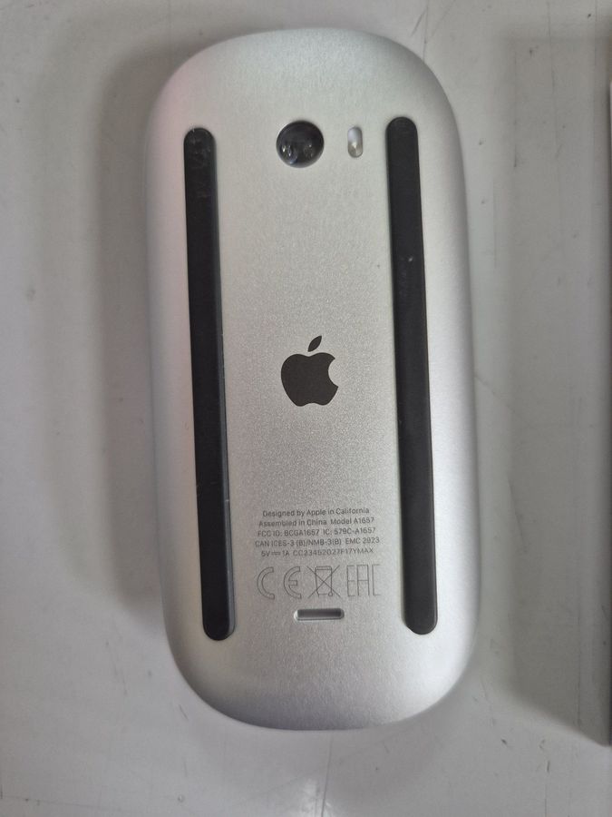 Apple magic mouse 2021