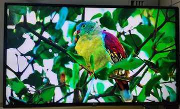 Б/в Телевізор Lg 43uj630v 01-200930531