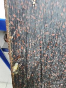 01-200424280: Salomon volution 7000