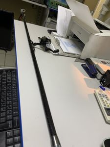 01-200792174: Mikado princess carbon pole 4.00м 10-30 г