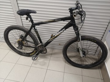 Giant rincon 26