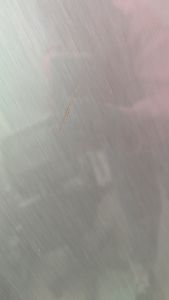 Б/в Холодильник Vestfrost cnf 289 xb 01-200848028