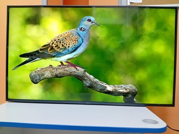 Б/в Телевізор Lg 43ur78006lk 01-200939860