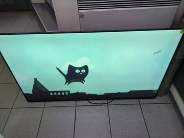 Hisense 55e8q