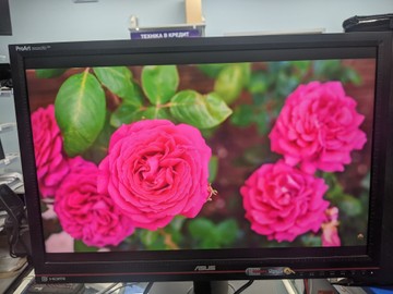 Asus pa246