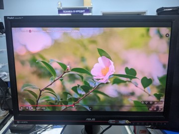 Б/в Монітор Asus pa246 01-200996422