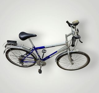 01-200632365: Mustang mustang