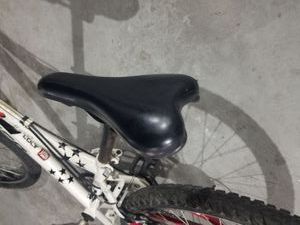 01-200502513: Colt ranger 13 24