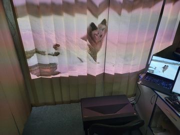 Б/в Проектор Optoma uhz65ust 01-200887194