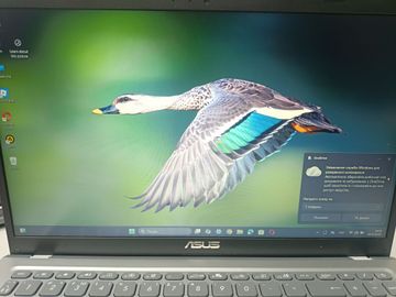 Б/в Ноутбук Asus 15/pentium n6000 ddr4/8gb ddr2/hdd 500 gb/ssd *відсутній/*інтегрована 01-200891005