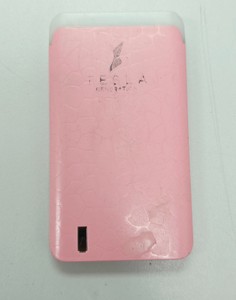 Tesla без моделі