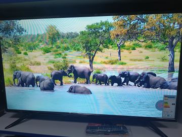 01-200794826: Hilton 42sf1