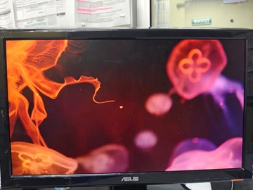 Б/в Монітор Asus vh192d 01-200948968