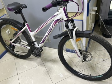 Avanti 26