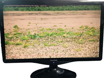 Б/в Монітор Viewsonic va2231wa 01-201082525
