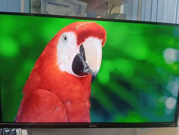 01-200775110: Kivi 32h750nb