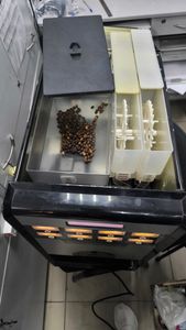 Б/в Кавоварка Bianchi gaia style easy 01-200916254