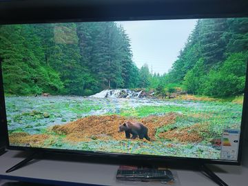 01-200794826: Hilton 42sf1