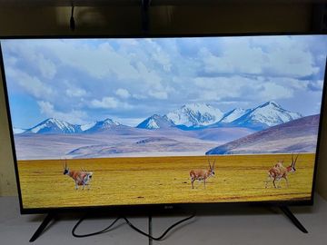 Б/в Телевізор Kivi 43f730qb 01-200893784