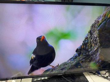 Б/в Телевізор Samsung ue46eh6037 01-201032378