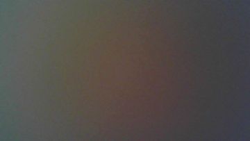 01-200545557: Casa Royale livorno (16cm)