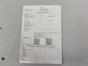 01-200742973: Dorozhnik onyx