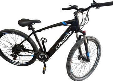 01-200743581: Eurobike 300w 15ah 30v