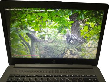 Б/в Ноутбук Hp 15/celeron n4000 ddr4/4gb ddr4/hdd *відсутній/ssd 128 gb/*інтегрована 01-200874579