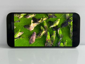 Б/в Мобільний телефон Apple iphone 15 pro 128gb 01-200867008