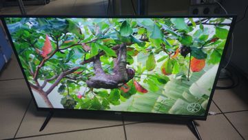 01-200773124: Ergo 32dhs6000