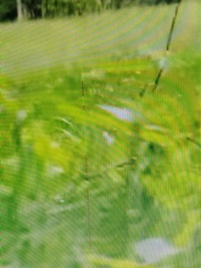 Б/в Монітор Samsung s22d300 01-201090436