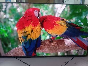 Б/в Телевізор Tcl 43c655 01-200847121