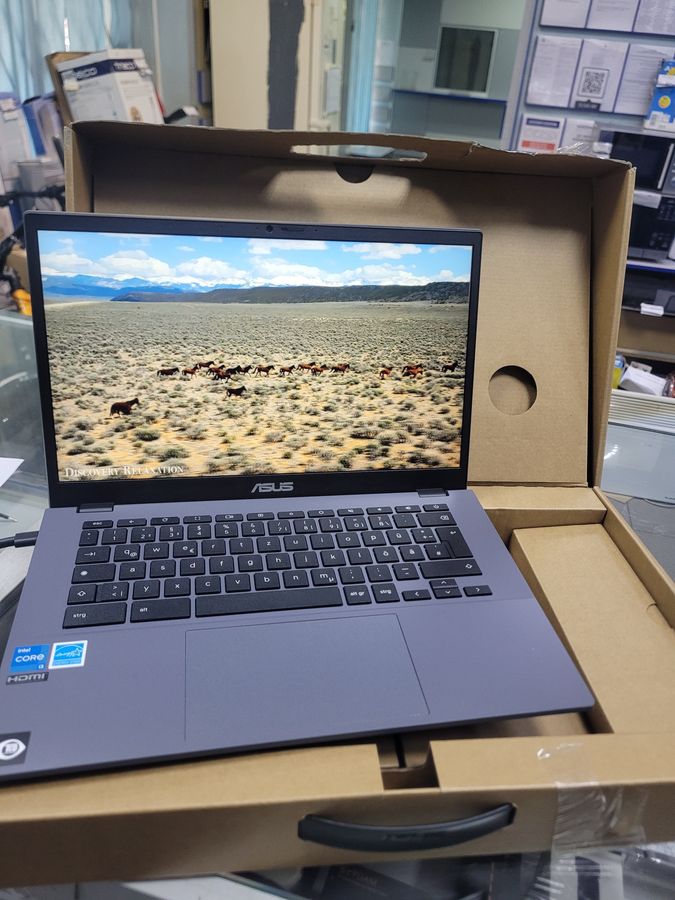 Asus chromebook plus cx3402cba